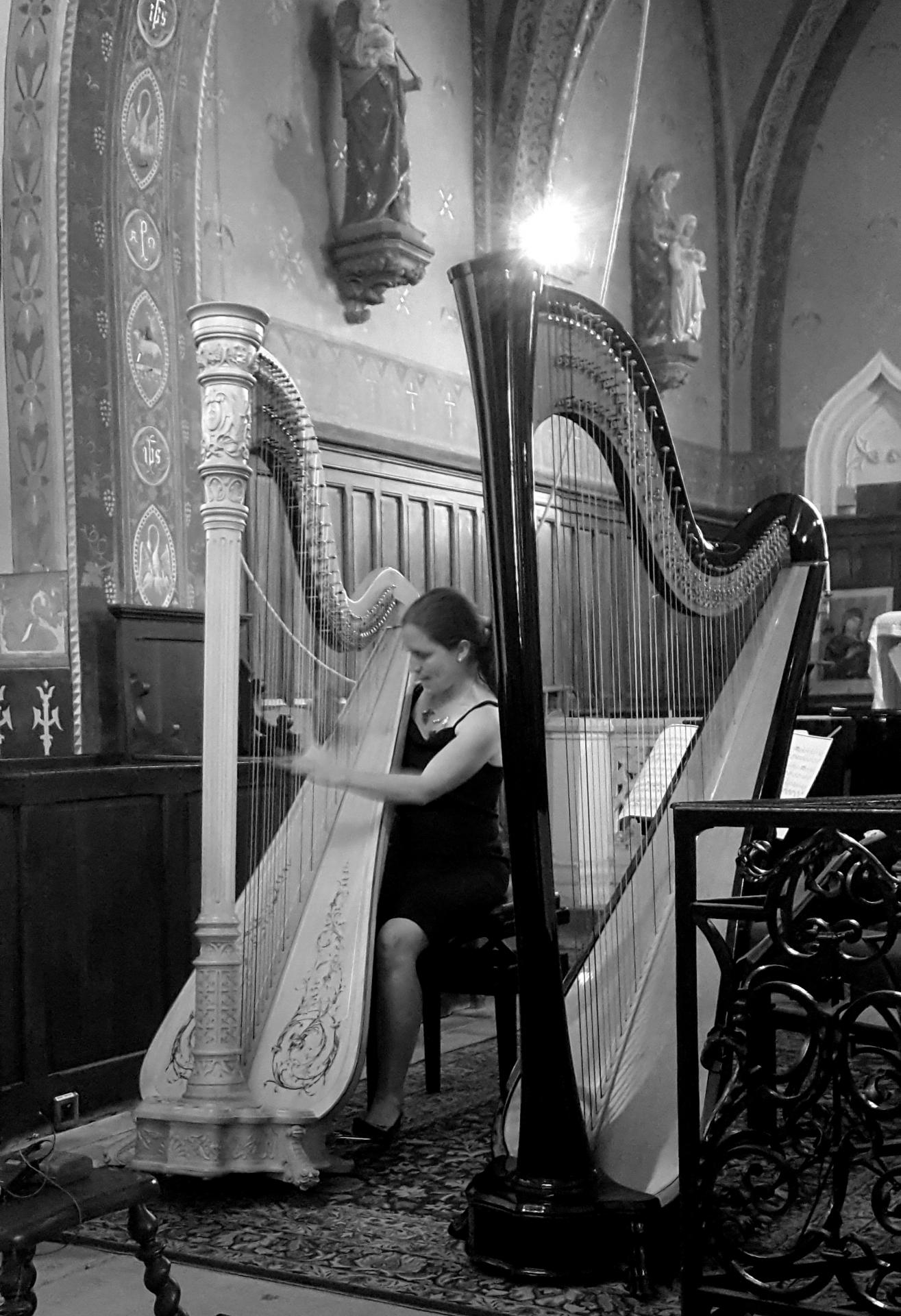 Le Duo Néféli : les Harpistes Agnès Peytour et Primor Sluchin
