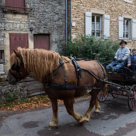 Saint-Hubert 2015, photo Chris Wilcockson