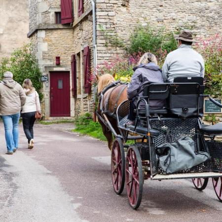 Saint-Hubert 2015, photo Chris Wilcockson