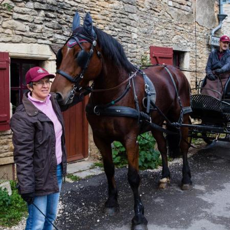 Saint-Hubert 2015, photo Chris Wilcockson