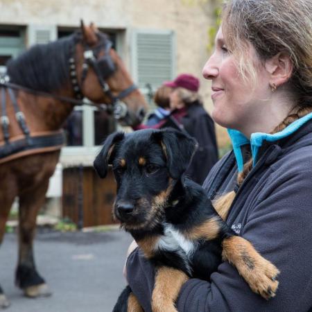 Saint-Hubert 2015, photo Chris Wilcockson