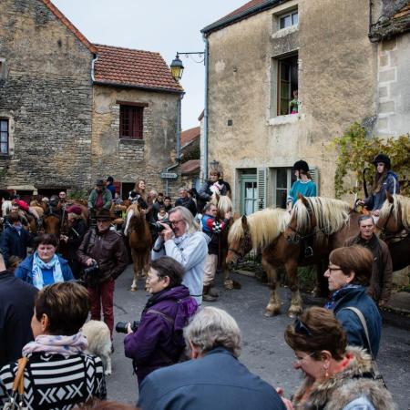 Saint-Hubert 2015, photo Chris Wilcockson