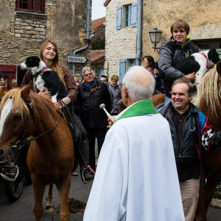 Saint-Hubert 2015, photo Chris Wilcockson