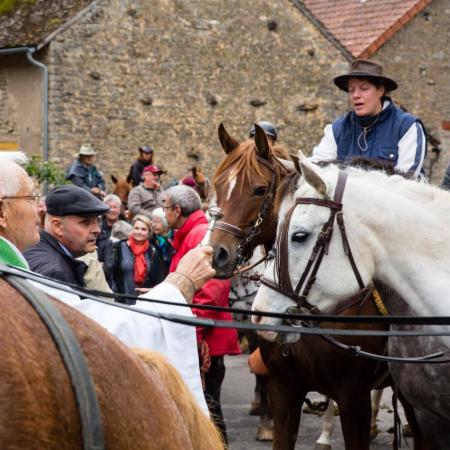 Saint-Hubert 2015, photo Chris Wilcockson