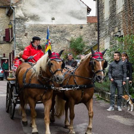Saint-Hubert 2015, photo Chris Wilcockson