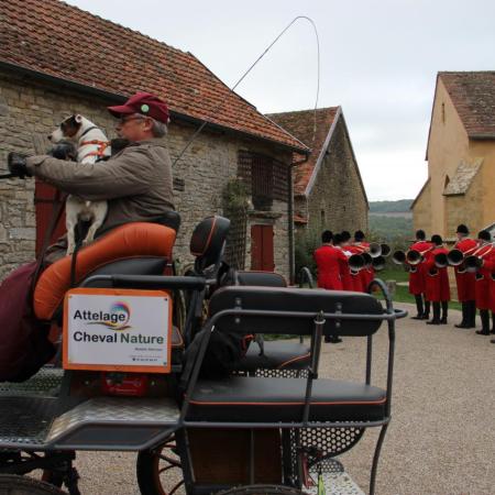 Saint-Hubert 2015, photo Claude Finot