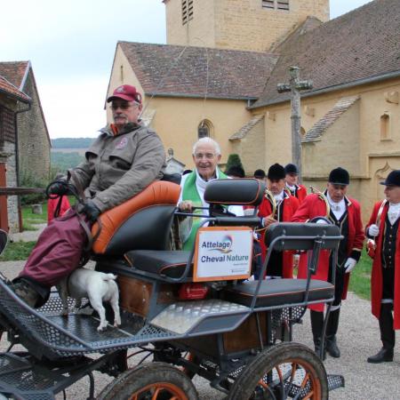 Saint-Hubert 2015, photo Claude Finot