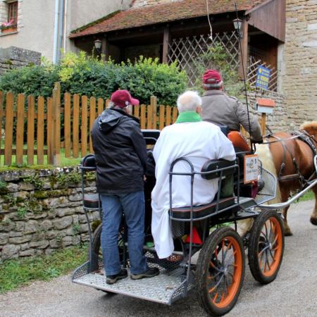 Saint-Hubert 2015, photo Claude Finot