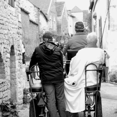 Saint-Hubert 2015, photo Claude Finot