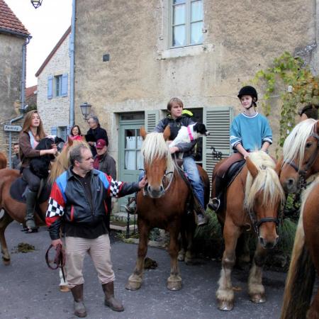 Saint-Hubert 2015, photo Claude Finot