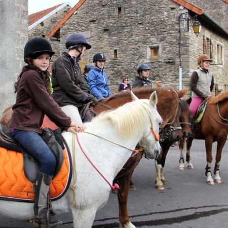 Saint-Hubert 2015, photo Claude Finot