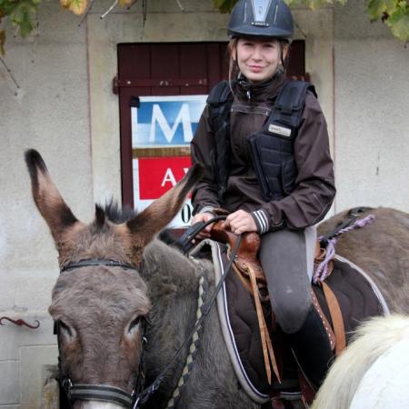 Saint-Hubert 2015, photo Claude Finot