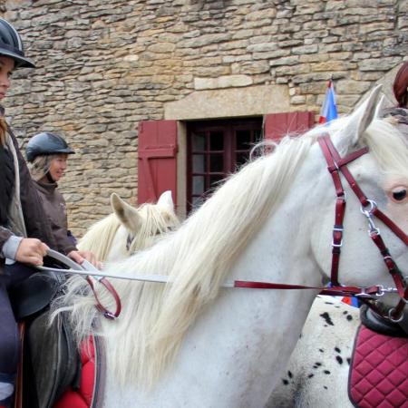 Saint-Hubert 2015, photo Claude Finot