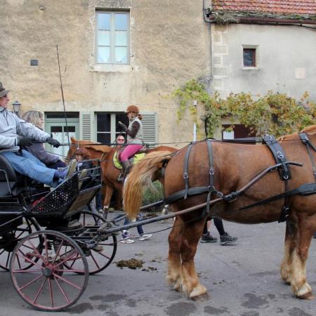 Saint-Hubert 2015, photo Claude Finot