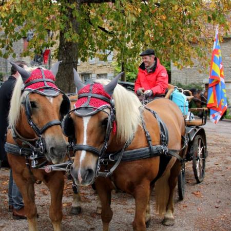 Saint-Hubert 2015, photo Claude Finot