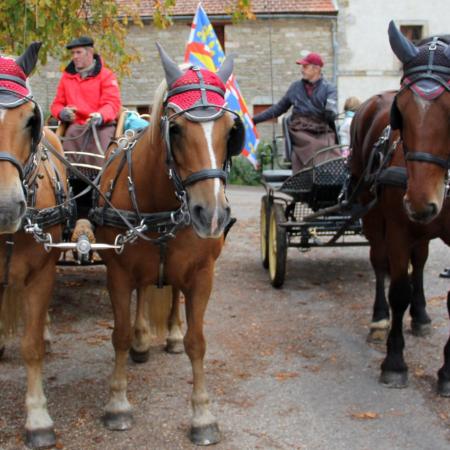 Saint-Hubert 2015, photo Claude Finot