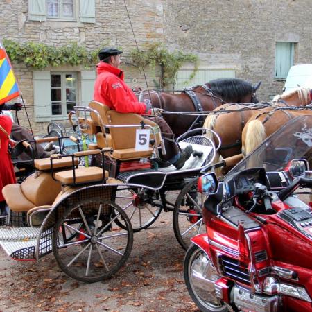 Saint-Hubert 2015, photo Claude Finot