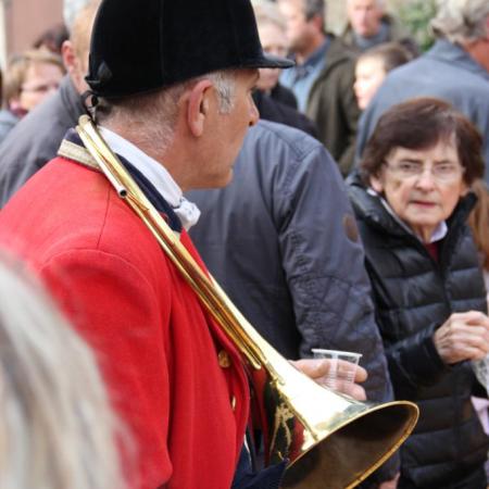 Saint-Hubert 2015, photo Claude Finot