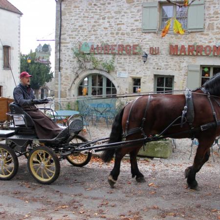Saint-Hubert 2015, photo Claude Finot