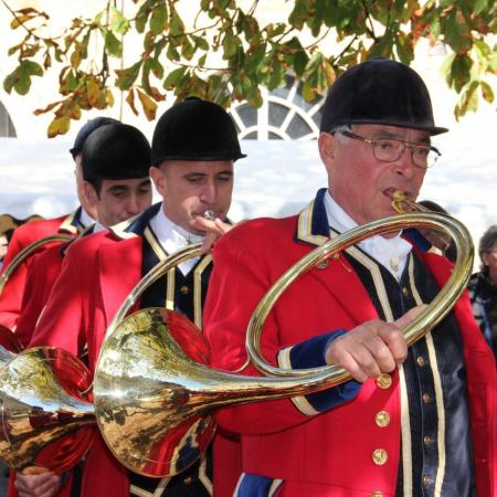 Saint-Hubert 2015, photo Claude Finot