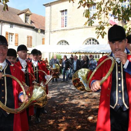 Saint-Hubert 2015, photo Claude Finot
