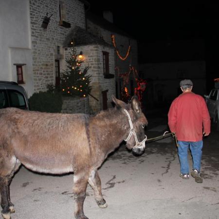 24 décembre 19h. César, l'âne, en route vers la crèche avec Bernard A.