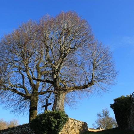 25 décembre au matin, La Croix de Mission sous un magnifique ciel bleu